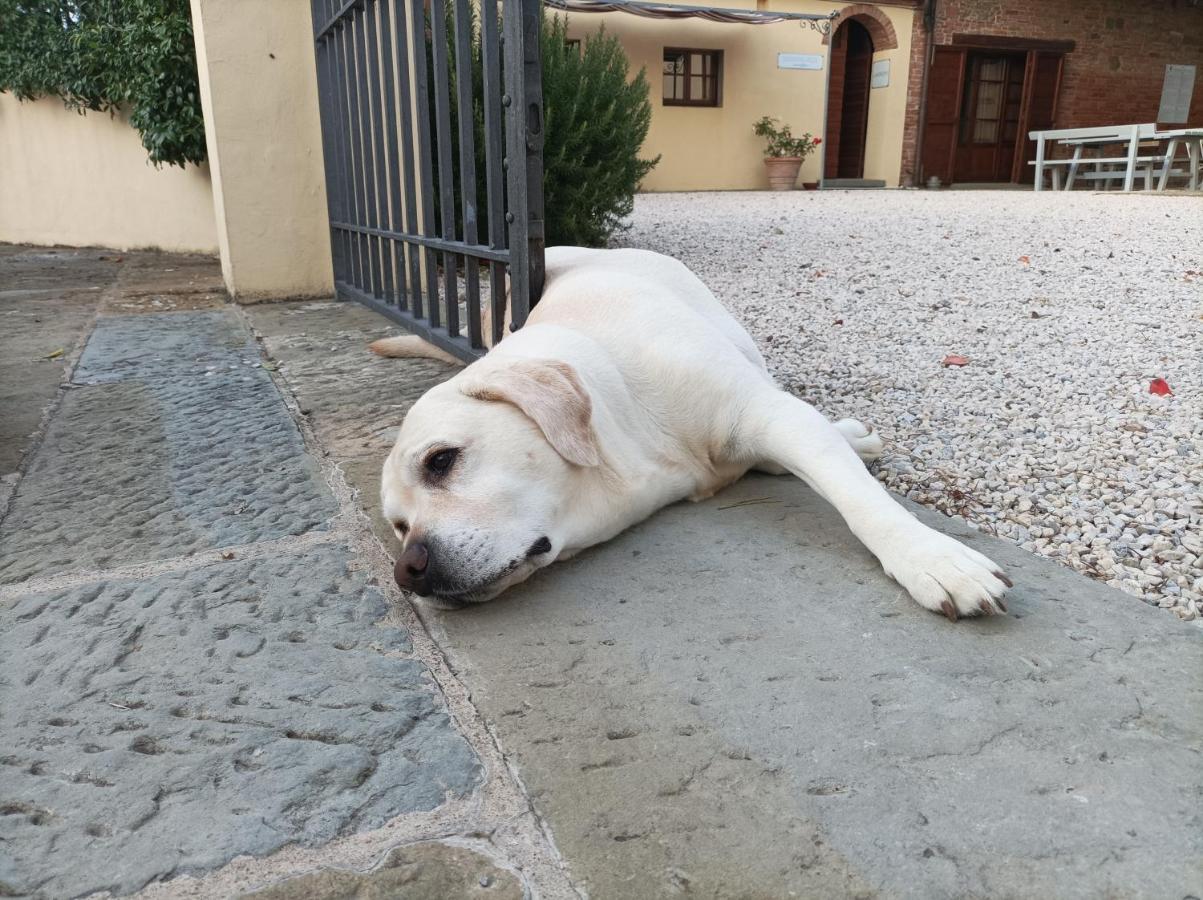 Podere Il Belvedere Su Cortona カスティリオーン・フィオレンティーノ エクステリア 写真